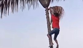 Homem cai de coqueiro ao tentar pegar coco e sofre fraturas nas costelas
