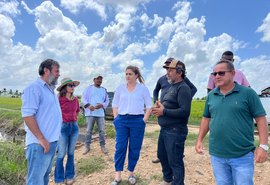 Agricultura e Embrapa realizam missão técnica para fortalecimento da cadeia produtiva do arroz