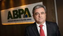 Presidente da ABPA diz que guerra torna inevitável alta de ovos e frango