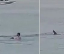 Vídeo mostra momento em que tubarão ataca e mata jovem em praia do Egito; assista