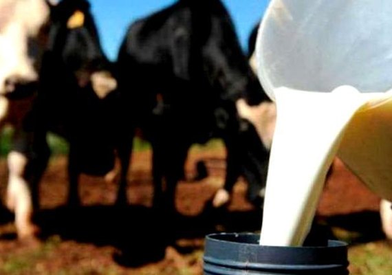Pesquisa coloca Alagoas como maior produtor de leite do Nordeste