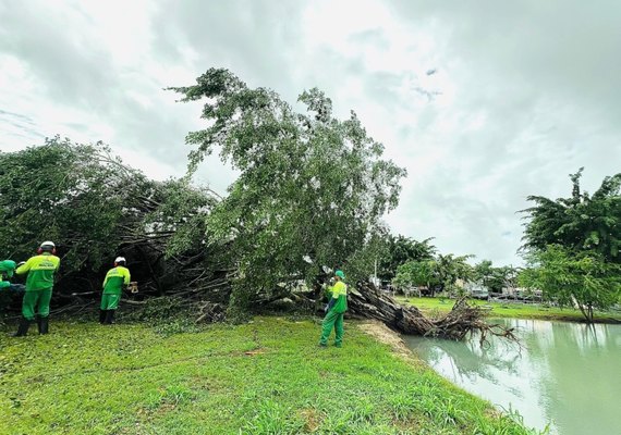 Alurb intensifica ações preventivas após fortes chuvas em Maceió