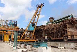 Usinas alagoanas já produziram mais 498 mil toneladas de açúcar