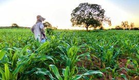 Governador de AL encaminha à ALE projetos de lei que beneficiam a agricultura familiar no estado