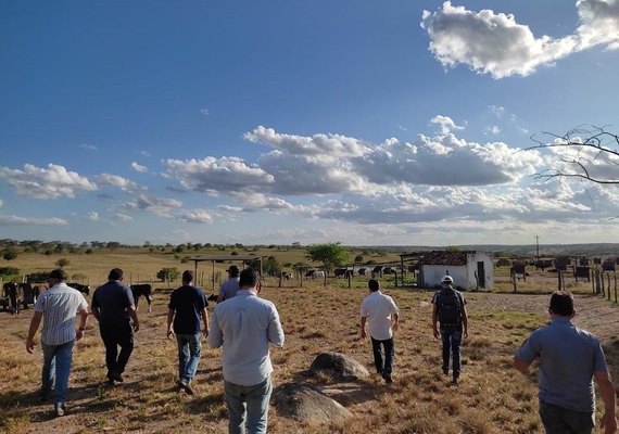 CPLA realiza dia de campo sobre manejo nutricional em Batalha e Major Izidoro