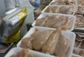 Após doença de Newcastle, governo suspende exportações de carne de frango