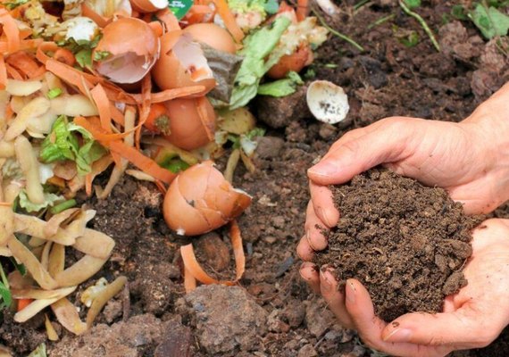 Fertilizante ecológico pode reduzir dependência de importação