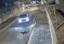 Homem que perseguiu e atropelou cachorro é condenado por maus-tratos a animais