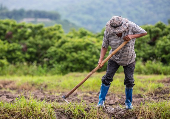 Pagamento do Garantia-Safra 2021/2022 beneficia mais de 15 mil agricultores de Alagoas