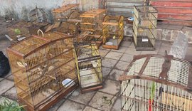 PM-AL intensifica combate a crimes ambientais, tráfico de drogas e porte ilegal de arma na capital e no interior