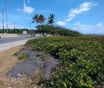Prefeitura de Maceió descarta resto de asfalto em área de restinga na Orla do Sobral