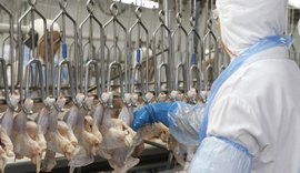 OMS fala sobre a China ter detectado coronavírus em frango brasileiro