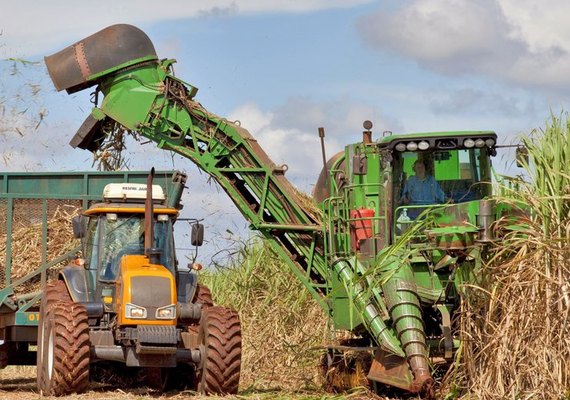 Cresce participação de fornecedores na quantidade de cana processada na safra 21/22