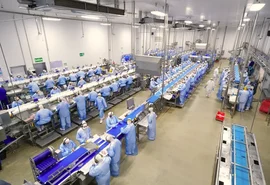 Fortalecer a cultura é o novo desafio do cooperativismo brasileiro