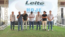 Leilão Mais Leite destaca genética de excelência com raças Girolando e Gir Leiteiro