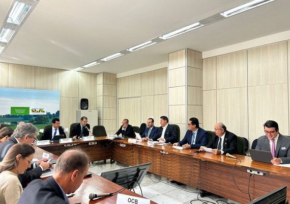 Edgar Antunes participa de reunião da Câmara Setorial da Cadeia Produtiva do Açúcar e do Álcool do Mapa