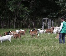 Ações e programas do Senar Alagoas beneficiam mais de 21 mil pessoas em 2022