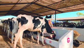 Expo Bacia Leiteira levará conhecimento e oportunidades ao Parque Mair Amaral