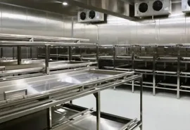 Polícia Científica tenta localizar famílias de 87 corpos sem reivindicação em Alagoas