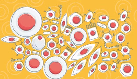 Homem é curado do HIV após transplante de células-tronco em caso considerado inesperado