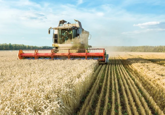 BNDES anuncia regras para linha de crédito em apoio as cooperativas agro