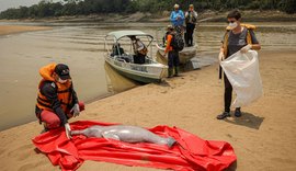 Pesquisadores encontram carcaças de 23 botos em Coari, no Amazonas