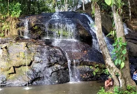 Murici revela um Alagoas onde a natureza é a grande protagonista