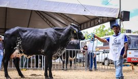 Julgamentos da Expo Bacia Leiteira vão integrar ranking girolando