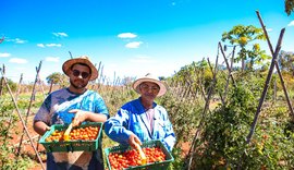 No Dia Internacional da Agricultura Familiar, trabalhadores compartilham emoção de produzir alimentos