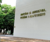 Ministério estima que 1,250 bilhão de t de produtos agropecuários escoam por portos e rodovias