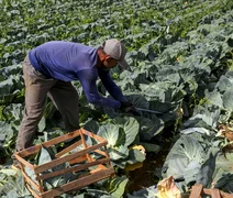 BNDES anuncia R$ 60 milhões para cooperativas de agricultura familiar produzirem bioinsumos