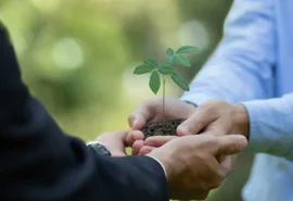 Relatório de Sustentabilidade de cooperativa financeira reforça compromisso com o desenvolvimento sustentável