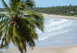 Praia do Patacho, em Porto de Pedras, beneficiada com recursos federais para recuperação da orla
