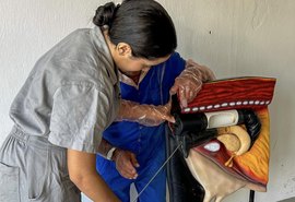 Curso de Inseminação Artificial capacitou mais de 120 alunos em 2024