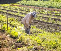 Programa de Aquisição de Alimentos é retomado e ampliado, após publicação de MP