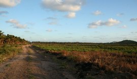 PGE se manifesta contrária a obra do Aeroporto de Maragogi