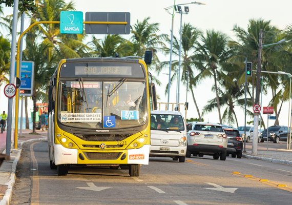 São João do Jaraguá terá ônibus de graça durante os sete dias de festa