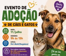Evento promove adoção de cães e gatos neste sábado em Maceió