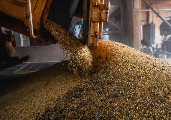 IBGE estima safra recorde de 296,2 milhões de toneladas neste ano