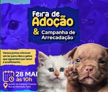 Feira de Adoção do CESMAC busca novos lares para animais resgatados