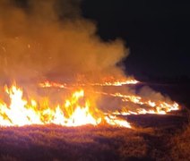 Corpo de Bombeiros registra 16 incêndios em vegetação em um único dia em AL