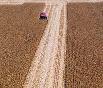 Desembolsos de crédito rural têm queda de 25% no primeiro mês do Plano Safra 25/26