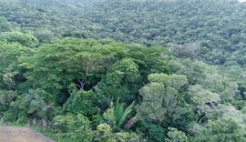 Mata da Sálvia: Segunda maior Reserva Particular do Patrimônio Natural é criada em AL