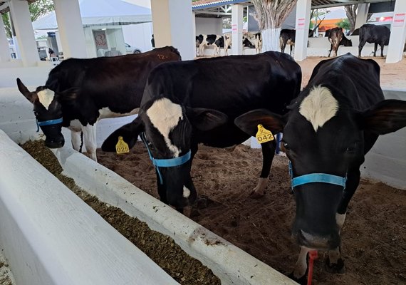 39ª Expo Bacia Leiteira movimenta mais de R$ 10 milhões em negócios