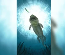 Cientistas encontram fóssil de ''trepador de areia'' na Austrália