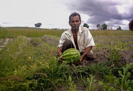 Novo pagamento do Garantia-Safra beneficia cerca de 5 mil agricultores alagoanos