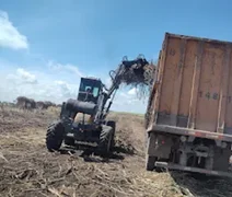 Apesar da safra de crescimento, fornecedores amargam queda na produção em Alagoas