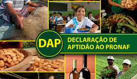 Ministério da Agricultura prorroga validade da DAP por seis meses