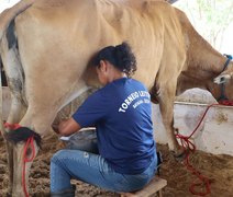 Genética da agricultura familiar mostra potencial no torneio leiteiro da Expo Bacia