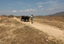 Agricultores familiares de AL recebem Garantia-Safra a partir desta terça (17)